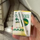 세이안 동교 | 임신 37주 일상, 진짜_진짜_최종.jpg