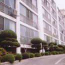 양지-3556 이미지