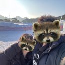 이가네펜션 이미지