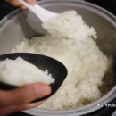 춘여닭숯불닭갈비