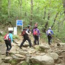 곡성-115 이미지