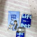 펫라이프 | 라이프펫 아이즈 급여 후기 | 요즘 뽀리 눈물 관리 루틴 👀🩵