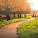 아이큐어(주) 이미지