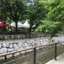 주록리계곡 루돌프 이미지