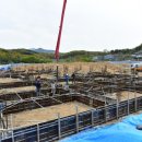 생태와대구 이미지