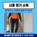 연성어린이집 | 시흥 정기 소독 방역 아파트 벌레 싹 잡아!