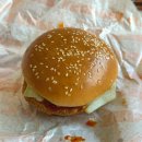 버거킹 앞 | 버거킹 신메뉴, &#39;크리스퍼 불닭 치킨&#39;, &#39;딥 크런치 아포가토&#39; 후기