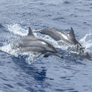 우정마트 이미지