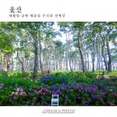 해송공원 이미지