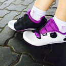 자이언트파마 이미지