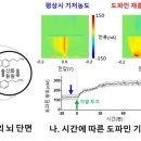 도파민 이미지
