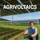 다원태양광 이미지