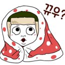 탬스켄넬 이미지