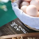 영월동물복지농장 이미지