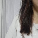 부티나는 여자 필수템 백화점 헤어에센스 시슬리 헤어오일 후기