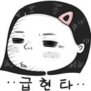 싸다구펫 이미지