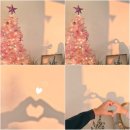 꿈나무 열대어 | 부산파티룸 스페이스하나 오시리아점 번개 모임 후기