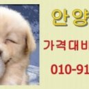 놀부부대찌게철판구이 이미지