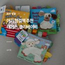 동시랑 그림책으로 놀기 | 아기 헝겊책 추천ㅣ태기스, 졸리베이비 내돈내산 후기