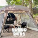 제드짐 | 애견동반 하남 캠핑장 숲에정원 14번 데크 (제드 도킹텐트 후기)