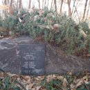 연암공원 이미지