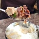 경남 고성 소고기 맛집 고성한우명가 점심특선 육회비빔밥 차돌된장