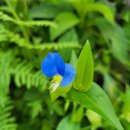 반복(Repetition) 이미지
