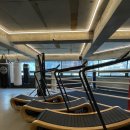 팀 드래곤 이미지