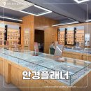 1223 | 대전 태평동 가성비 대형 안경점 안경플래너 안경 맞추고 온 후기