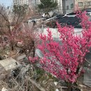 예진어린이집 | 따뜻한 3월 일상🌷