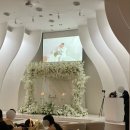 시티종합건설단(주) | 부산 아시아드시티웨딩홀 M홀 하객 후기 (2026년 3월)