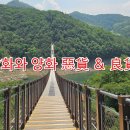 양화건재