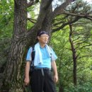 동진 이미지