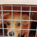 옥포대첩로 이미지