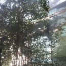 오봉푸드 이미지