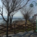 느티나무동물약국 이미지