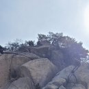 신검사