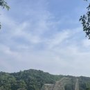 팬더랜드 | 추석연휴 놀거리 추천 / 공휴일 에버랜드 후기 (T익스프레스, 아마존, 팬더)