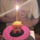 파파호두거제 | 미친듯이 힘들었던 추석이 지나고 ,, ^^