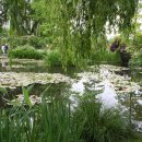 지베르니 이미지