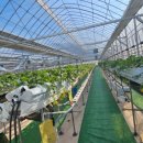 중동뜰농장 이미지