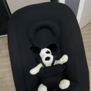 더스터닝-2 | 싸이벡스 레모 4in1 스터닝 블랙 내돈내산, 신생아 뉴본 세트 조립 및 개봉기