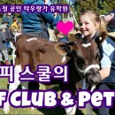 다현인터내셔널