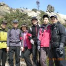 대양초교 이미지