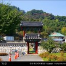 성불사지 석불입상 | 안성 매산리석불입상,매산리오층석탑