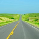 숲속으로 이미지