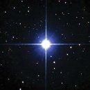 붙박이별(Polaris) 이미지