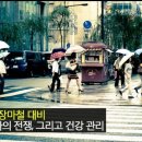 청석당 Daum카페