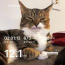 (주)소니스트 | 8월 목표 : 지갑 닫기