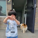 뭉치키즈풀빌라 이미지